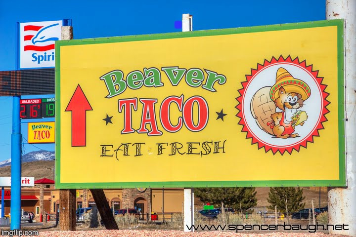 Taco Beaver | . | image tagged in loyalsockatxhamster,beaver,funny signs,fun stuff,lol | made w/ Imgflip meme maker