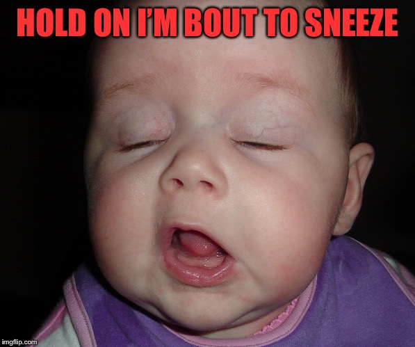 HOLD ON I’M BOUT TO SNEEZE | made w/ Imgflip meme maker