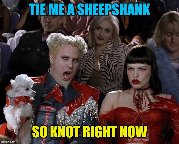 We're gonna need a bigger knot | TIE ME A SHEEPSHANK; SO KNOT RIGHT NOW | image tagged in memes,mugatu so hot right now,quint,rope | made w/ Imgflip meme maker