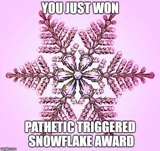 YOU JUST WON PATHETIC TRIGGERED SNOWFLAKE AWARD | made w/ Imgflip meme maker