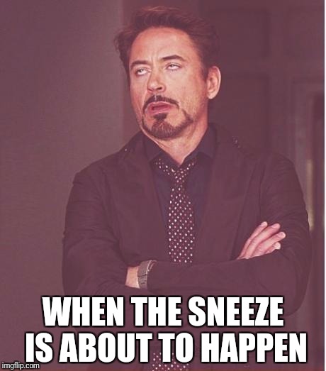 Face You Make Robert Downey Jr Meme | WHEN THE SNEEZE IS ABOUT TO HAPPEN | image tagged in memes,face you make robert downey jr | made w/ Imgflip meme maker