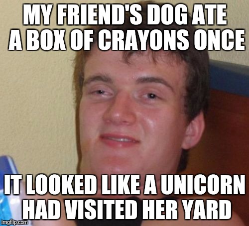 10 Guy Meme | MY FRIEND'S DOG ATE A BOX OF CRAYONS ONCE IT LOOKED LIKE A UNICORN HAD VISITED HER YARD | image tagged in memes,10 guy | made w/ Imgflip meme maker