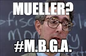 #m.b.g.a. | MUELLER? #M.B.G.A. | image tagged in ferris bueller ben stein,robert mueller,trump,impeachment | made w/ Imgflip meme maker