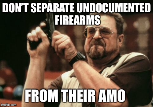 Am I The Only One Around Here Meme | DON’T SEPARATE UNDOCUMENTED FIREARMS FROM THEIR AMO | image tagged in memes,am i the only one around here | made w/ Imgflip meme maker