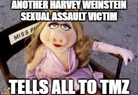 Harvey Weinstein, DOES LIKE PORK | ANOTHER HARVEY WEINSTEIN SEXUAL ASSAULT VICTIM; TELLS ALL TO TMZ | image tagged in funny,harvey weinstein,kermit  ms piggy | made w/ Imgflip meme maker