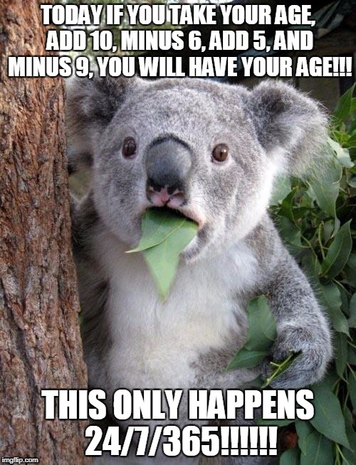 Suprised Koala | TODAY IF YOU TAKE YOUR AGE, ADD 10, MINUS 6, ADD 5, AND MINUS 9, YOU WILL HAVE YOUR AGE!!! THIS ONLY HAPPENS 24/7/365!!!!!! | image tagged in suprised koala | made w/ Imgflip meme maker