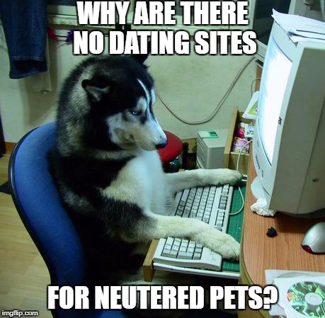 I Have No Idea What I Am Doing Meme | WHY ARE THERE NO DATING SITES; FOR NEUTERED PETS? | image tagged in memes,i have no idea what i am doing | made w/ Imgflip meme maker