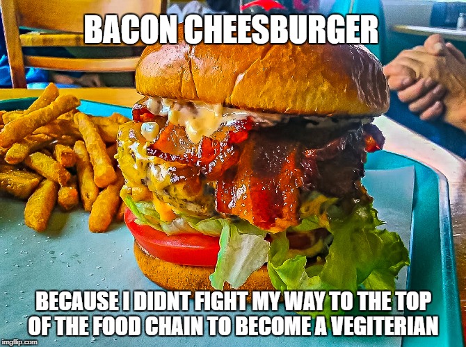 hamburger | BACON CHEESBURGER; BECAUSE I DIDNT FIGHT MY WAY TO THE TOP OF THE FOOD CHAIN TO BECOME A VEGITERIAN | image tagged in hamburger | made w/ Imgflip meme maker