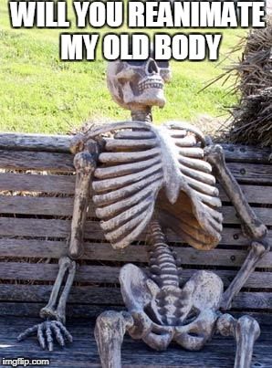 Waiting Skeleton Meme | WILL YOU REANIMATE MY OLD BODY | image tagged in memes,waiting skeleton | made w/ Imgflip meme maker