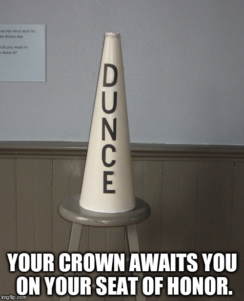 YOUR CROWN AWAITS YOU ON YOUR SEAT OF HONOR. | image tagged in dunce cap | made w/ Imgflip meme maker