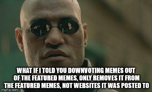 Matrix Morpheus Meme | WHAT IF I TOLD YOU DOWNVOTING MEMES OUT OF THE FEATURED MEMES, ONLY REMOVES IT FROM THE FEATURED MEMES, NOT WEBSITES IT WAS POSTED TO | image tagged in memes,matrix morpheus,imgflip | made w/ Imgflip meme maker