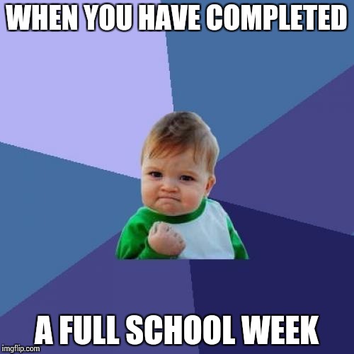 Success Kid Meme | WHEN YOU HAVE COMPLETED; A FULL SCHOOL WEEK | image tagged in memes,success kid | made w/ Imgflip meme maker