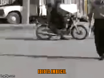 IDIOTA IMBECIL | image tagged in gifs | made w/ Imgflip video-to-gif maker