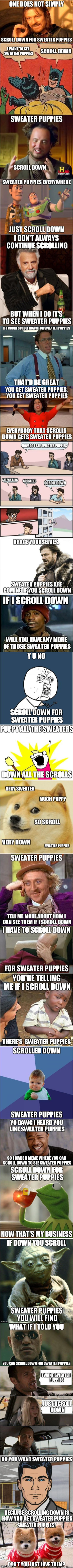 Ooooh.  Dem Sweater puppies | image tagged in memes,sweater puppies,broke my scroll wheel | made w/ Imgflip meme maker