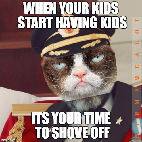 Cat-Pain Obvious | WHEN YOUR KIDS START HAVING KIDS; ITS YOUR TIME TO SHOVE OFF | image tagged in cat-pain obvious,memes,grumpy cat,captain obvious | made w/ Imgflip meme maker