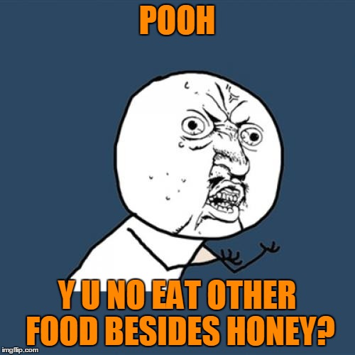 Y U No Meme | POOH Y U NO EAT OTHER FOOD BESIDES HONEY? | image tagged in memes,y u no | made w/ Imgflip meme maker