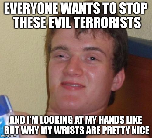 10 Guy Meme | EVERYONE WANTS TO STOP THESE EVIL TERRORISTS; AND I’M LOOKING AT MY HANDS LIKE BUT WHY MY WRISTS ARE PRETTY NICE | image tagged in memes,10 guy | made w/ Imgflip meme maker
