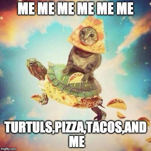 Space Pizza Cat Turtle Tacos | ME ME ME ME ME ME; TURTULS,PIZZA,TACOS,AND ME | image tagged in space pizza cat turtle tacos | made w/ Imgflip meme maker