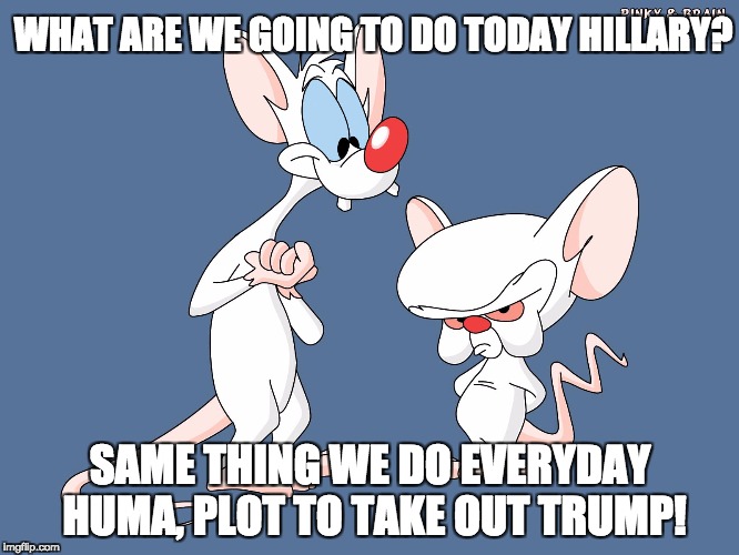 Pinky's plan to be POTUS and rule the world! | WHAT ARE WE GOING TO DO TODAY HILLARY? SAME THING WE DO EVERYDAY HUMA, PLOT TO TAKE OUT TRUMP! | image tagged in evil genius | made w/ Imgflip meme maker