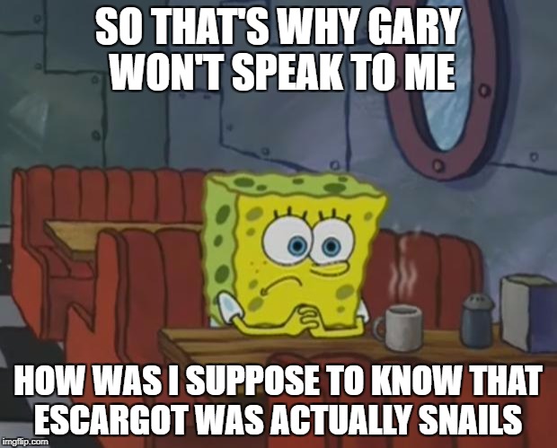 Spongebob Waiting | SO THAT'S WHY GARY WON'T SPEAK TO ME; HOW WAS I SUPPOSE TO KNOW THAT ESCARGOT WAS ACTUALLY SNAILS | image tagged in spongebob waiting | made w/ Imgflip meme maker