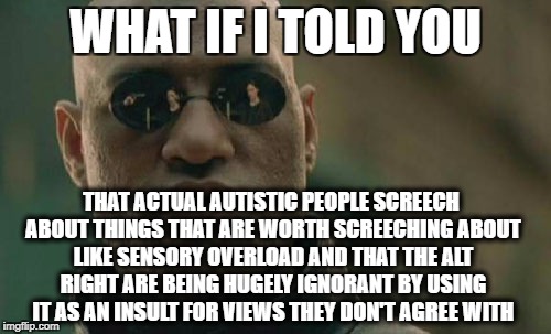 Matrix Morpheus Meme | WHAT IF I TOLD YOU; THAT ACTUAL AUTISTIC PEOPLE SCREECH ABOUT THINGS THAT ARE WORTH SCREECHING ABOUT LIKE SENSORY OVERLOAD AND THAT THE ALT RIGHT ARE BEING HUGELY IGNORANT BY USING IT AS AN INSULT FOR VIEWS THEY DON'T AGREE WITH | image tagged in memes,matrix morpheus,politics,autism | made w/ Imgflip meme maker