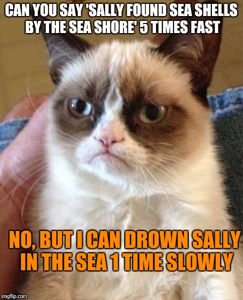 Grumpy Cat Meme | CAN YOU SAY 'SALLY FOUND SEA SHELLS BY THE SEA SHORE' 5 TIMES FAST; NO, BUT I CAN DROWN SALLY IN THE SEA 1 TIME SLOWLY | image tagged in memes,grumpy cat | made w/ Imgflip meme maker