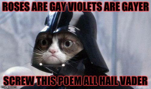 Grumpy Cat Star Wars |  ROSES ARE GAY VIOLETS ARE GAYER; SCREW THIS POEM ALL HAIL VADER | image tagged in memes,grumpy cat star wars,grumpy cat | made w/ Imgflip meme maker