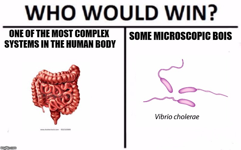 Who Would Win? | SOME MICROSCOPIC BOIS; ONE OF THE MOST COMPLEX SYSTEMS IN THE HUMAN BODY | image tagged in who would win | made w/ Imgflip meme maker