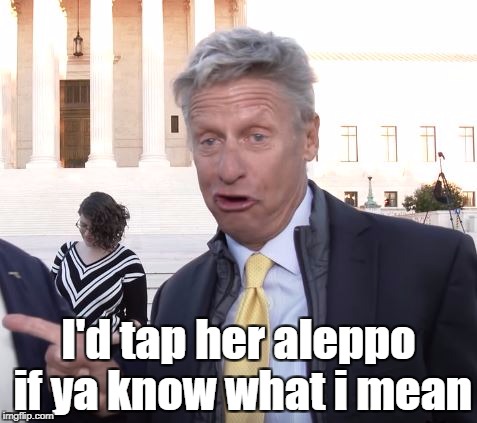 Drunken Gary Johnson | I'd tap her aleppo if ya know what i mean | image tagged in drunken gary johnson,libertarian,aleppo | made w/ Imgflip meme maker
