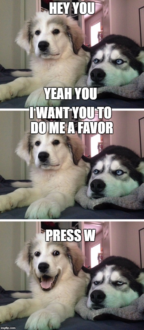 PSSSTTT | HEY YOU; YEAH YOU; I WANT YOU TO DO ME A FAVOR; PRESS W | image tagged in bad pun dogs,meme,funny,dogs,upvote,lol | made w/ Imgflip meme maker