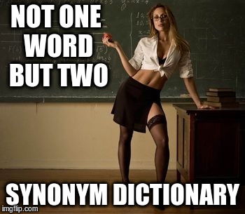 NOT ONE WORD BUT TWO SYNONYM DICTIONARY | made w/ Imgflip meme maker