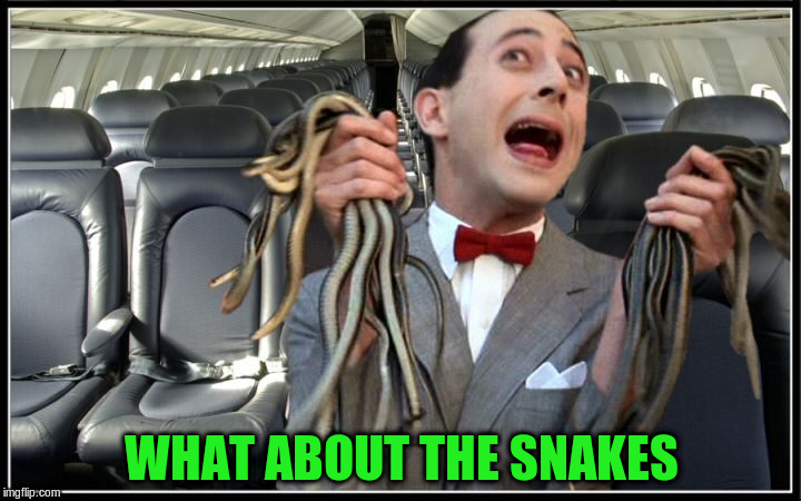 WHAT ABOUT THE SNAKES | made w/ Imgflip meme maker