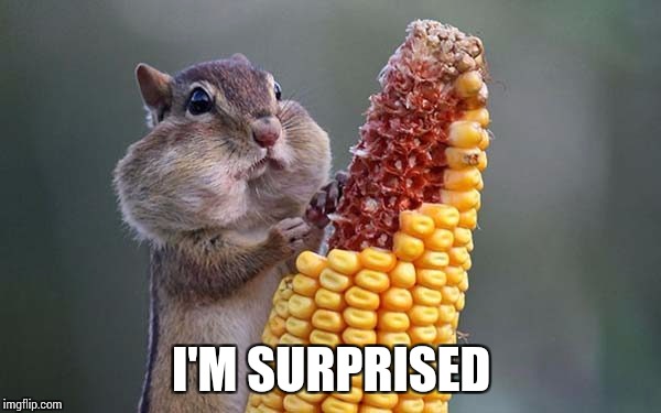 I'M SURPRISED | made w/ Imgflip meme maker