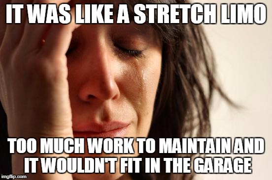 First World Problems Meme | IT WAS LIKE A STRETCH LIMO TOO MUCH WORK TO MAINTAIN AND IT WOULDN'T FIT IN THE GARAGE | image tagged in memes,first world problems | made w/ Imgflip meme maker
