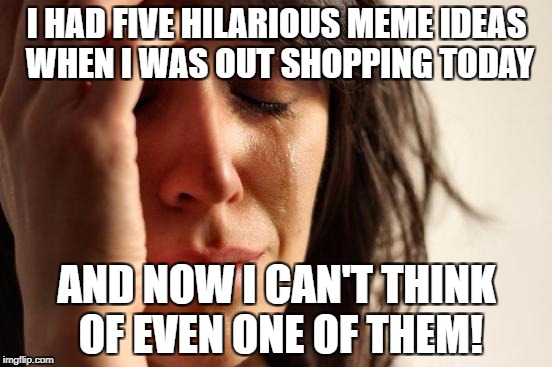 I only remember this one! | I HAD FIVE HILARIOUS MEME IDEAS WHEN I WAS OUT SHOPPING TODAY; AND NOW I CAN'T THINK OF EVEN ONE OF THEM! | image tagged in memes,first world problems | made w/ Imgflip meme maker