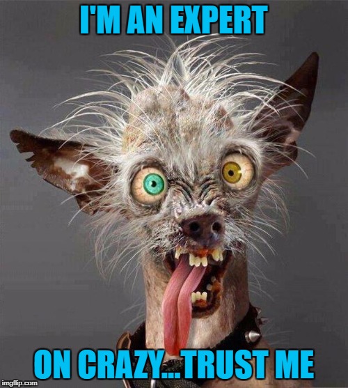 I'M AN EXPERT ON CRAZY...TRUST ME | made w/ Imgflip meme maker