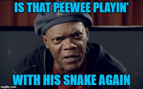 IS THAT PEEWEE PLAYIN' WITH HIS SNAKE AGAIN | made w/ Imgflip meme maker