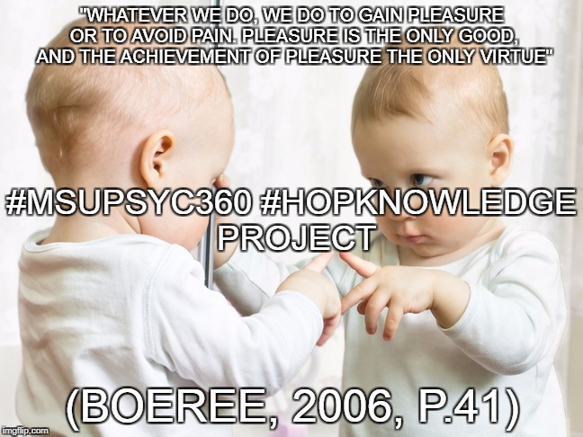 Mirror Baby | "WHATEVER WE DO, WE DO TO GAIN PLEASURE OR TO AVOID PAIN. PLEASURE IS THE ONLY GOOD, AND THE ACHIEVEMENT OF PLEASURE THE ONLY VIRTUE"; #MSUPSYC360 #HOPKNOWLEDGE PROJECT; (BOEREE, 2006, P.41) | image tagged in mirror baby | made w/ Imgflip meme maker