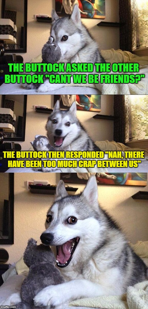 Typical jokes never gets old | THE BUTTOCK ASKED THE OTHER BUTTOCK "CANT WE BE FRIENDS?"; THE BUTTOCK THEN RESPONDED "NAH, THERE HAVE BEEN TOO MUCH CRAP BETWEEN US" | image tagged in memes,bad pun dog,funny | made w/ Imgflip meme maker