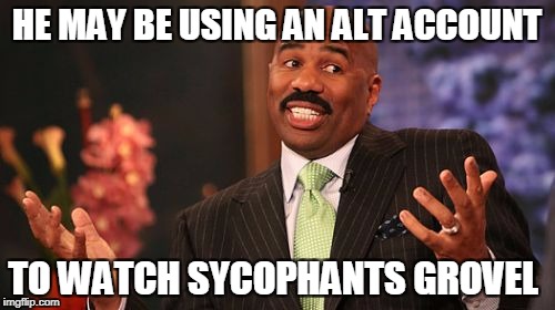 Steve Harvey Meme | HE MAY BE USING AN ALT ACCOUNT TO WATCH SYCOPHANTS GROVEL | image tagged in memes,steve harvey | made w/ Imgflip meme maker