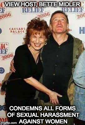 I condemn all forms of sexual harassment. | VIEW HOST, BETTE MIDLER; CONDEMNS ALL FORMS OF SEXUAL HARASSMENT AGAINST WOMEN | image tagged in the view,bette midler,harvey weinstein,hocus pocus,robin williams,sexual assault | made w/ Imgflip meme maker