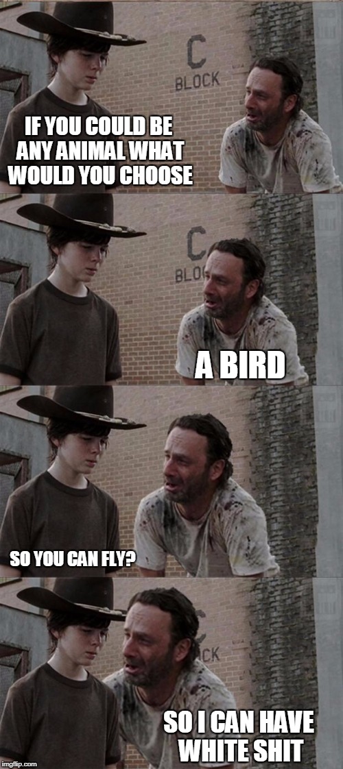 Rick and Carl Long Meme | IF YOU COULD BE ANY ANIMAL WHAT WOULD YOU CHOOSE; A BIRD; SO YOU CAN FLY? SO I CAN HAVE WHITE SHIT | image tagged in memes,rick and carl long | made w/ Imgflip meme maker