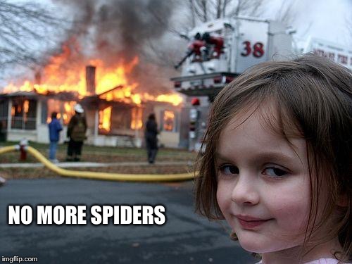 Disaster Girl Meme | NO MORE SPIDERS | image tagged in memes,disaster girl | made w/ Imgflip meme maker