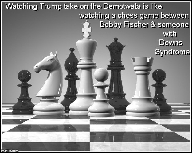 Watching Trump vs the Dimocrats | image tagged in chess,politics lol,funny memes,donald trump approves,current events,cnn fake news | made w/ Imgflip meme maker