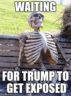 Hurry up, CNN! | WAITING; FOR TRUMP TO GET EXPOSED | image tagged in memes,waiting skeleton | made w/ Imgflip meme maker