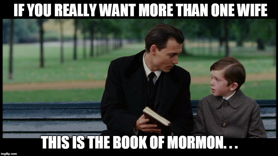 IF YOU REALLY WANT MORE THAN ONE WIFE THIS IS THE BOOK OF MORMON. . . | made w/ Imgflip meme maker