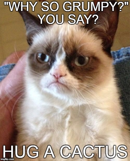 Grumpy Cat Meme | "WHY SO GRUMPY?" YOU SAY? HUG A CACTUS | image tagged in memes,grumpy cat | made w/ Imgflip meme maker