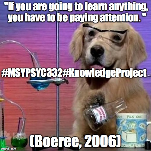 I Have No Idea What I Am Doing Dog Meme | "If you are going to learn anything, you have to be paying attention. "; #MSYPSYC332#KnowledgeProject; (Boeree, 2006) | image tagged in memes,i have no idea what i am doing dog | made w/ Imgflip meme maker