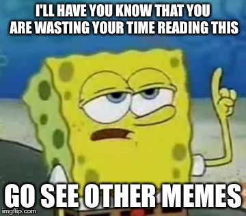 I'll Have You Know Spongebob | I'LL HAVE YOU KNOW THAT YOU ARE WASTING YOUR TIME READING THIS; GO SEE OTHER MEMES | image tagged in memes,ill have you know spongebob | made w/ Imgflip meme maker