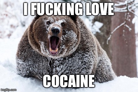 I FUCKING LOVE; COCAINE | made w/ Imgflip meme maker